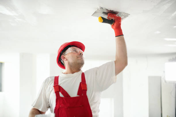 Best Black Mold Removal  in Booneville, MS