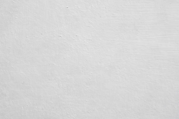 Booneville, MS Mold Removal Company