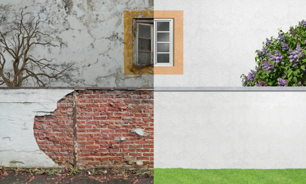 Best Mold Damage Restoration  in Booneville, MS